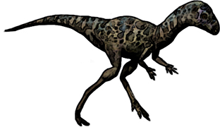 Xiasosaurus