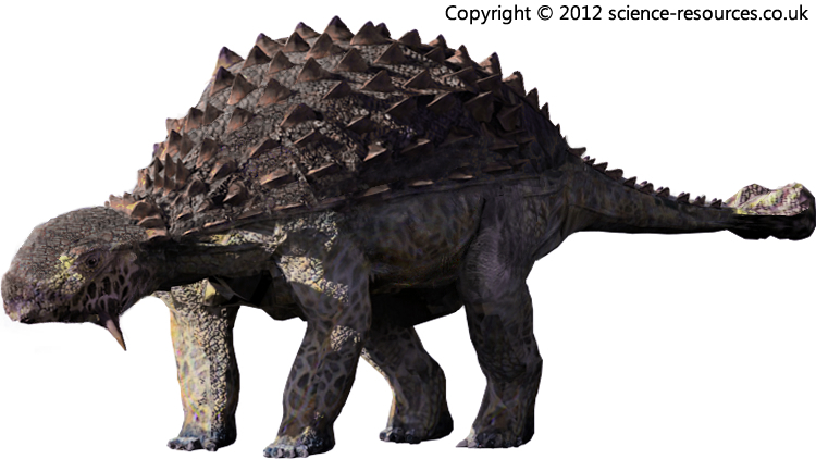 ankylosaurus