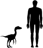 Troodon Size
