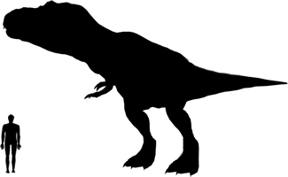 Tyrannosaurus Size