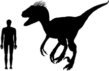 Utahraptor Size