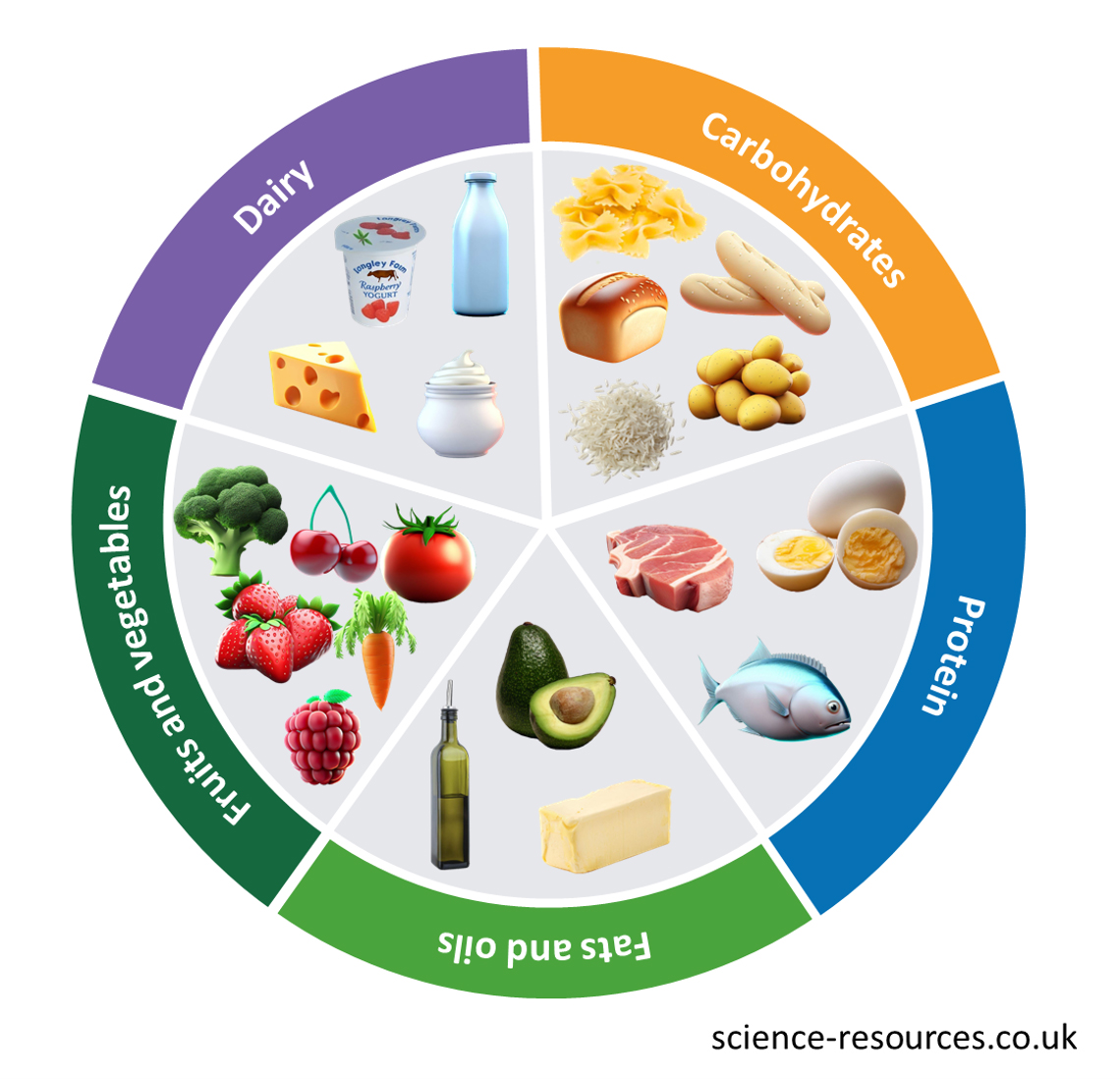 Image showing the 5 different food groups. The image is divided into different sections, each labeled with a type of food category such as “Dairy,” “Carbohydrates,” “Protein,” and “Fruits and Vegetables, fats and oils.” 