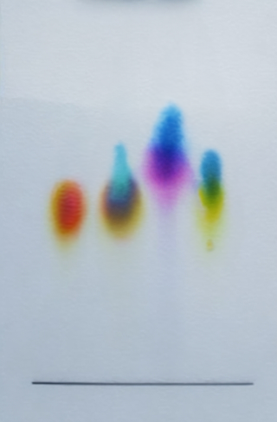 A chromatogram with different samples of ink.