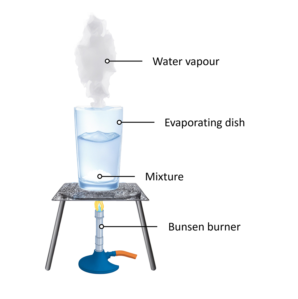 This image illustrates a scientific experiment involving heating a mixture in an evaporating dish using a Bunsen burner, resulting in the production of water vapor. The various components of the setup are labeled.