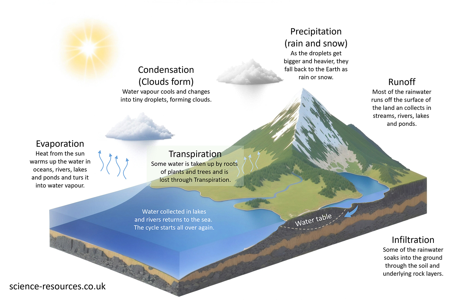 This image is a diagram illustrating the water cycle, including processes like evaporation, condensation, precipitation, runoff, and infiltration.