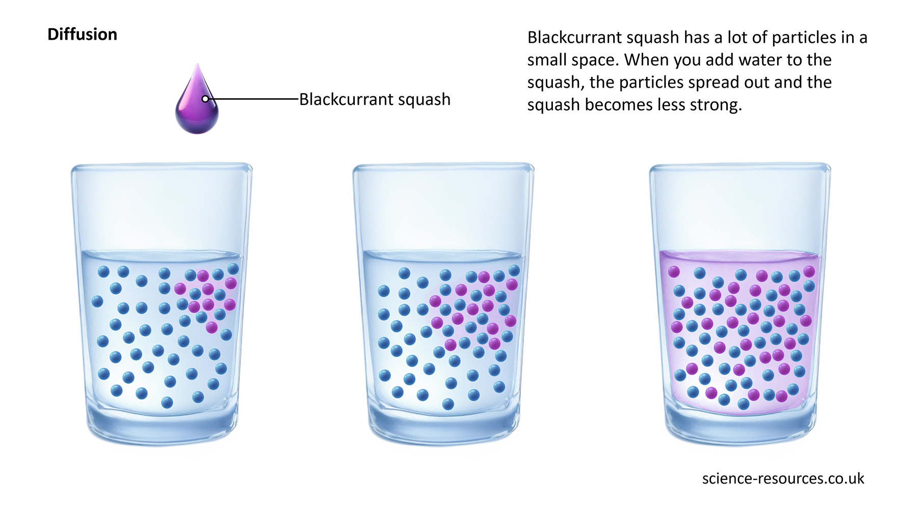 Diagram explaining the process of diffusion using blackcurrant squash as an example. It shows how the squash particles spread out and dilute in water over time. 