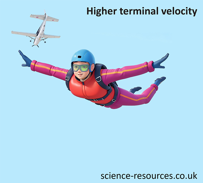 Image shows that if a skydiver has a small surface area they make little air resistance. 
