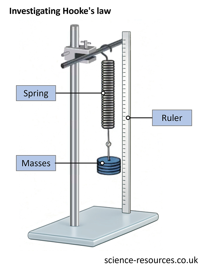 This image illustrates an experimental setup for investigating Hooke’s law, featuring a spring attached to a stand, with masses hanging from the spring and a ruler beside it to measure the extension of the spring.
