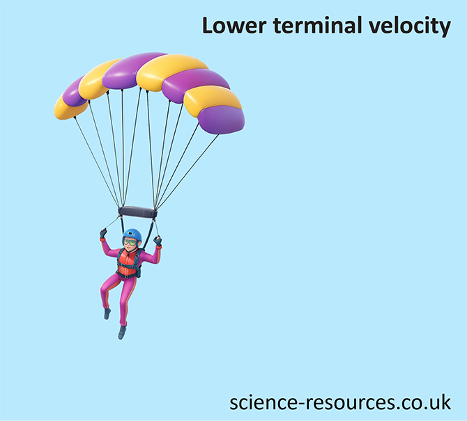 Image shows a that when parachutist opens their parachute they have a big surface area that makes a lot of air resistance. 