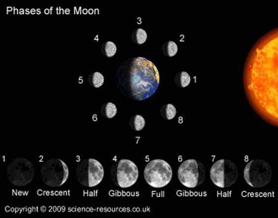 A diagram of the moon phases. The phases shown (from left to right) are: New, crescent, half, gibbous, full, gibbbous, half, and crescent.