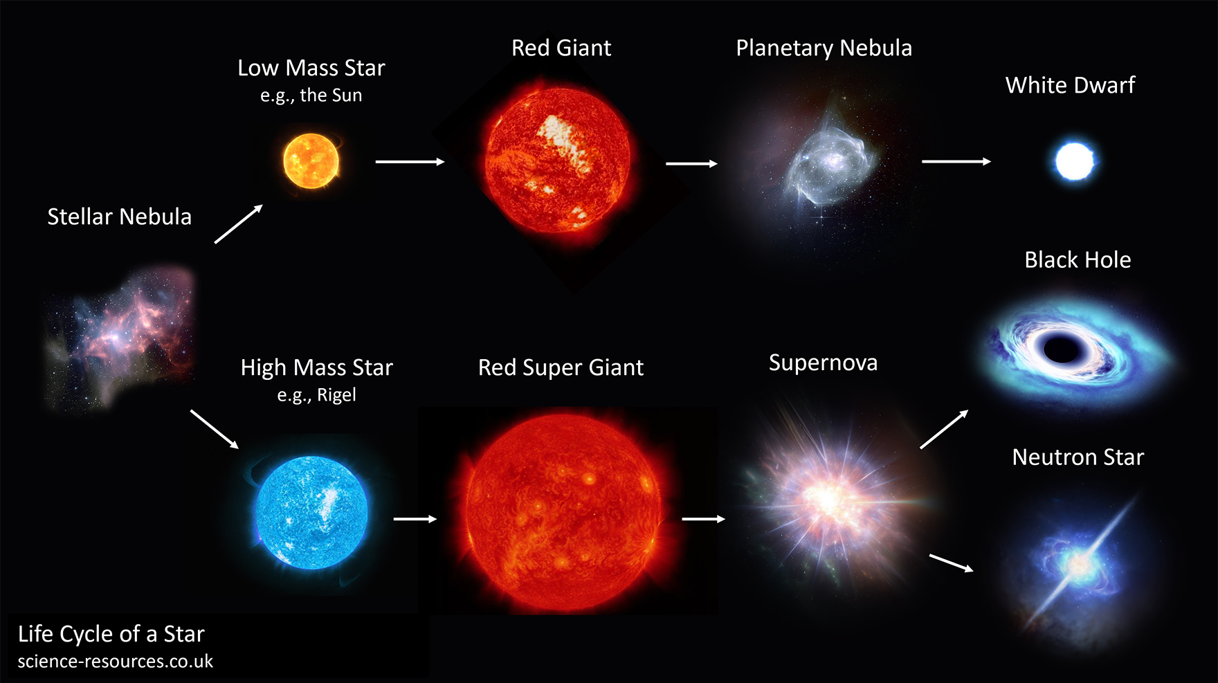 Image showing the life cycle of a star. Top (from left to right): Stellar Nebula, low mass star, red giant, planetary nebula, and white dwarf. Bottom (from left to right): Stellar nebula, high mass star, red super giant, supernova, black hole or neutron star.