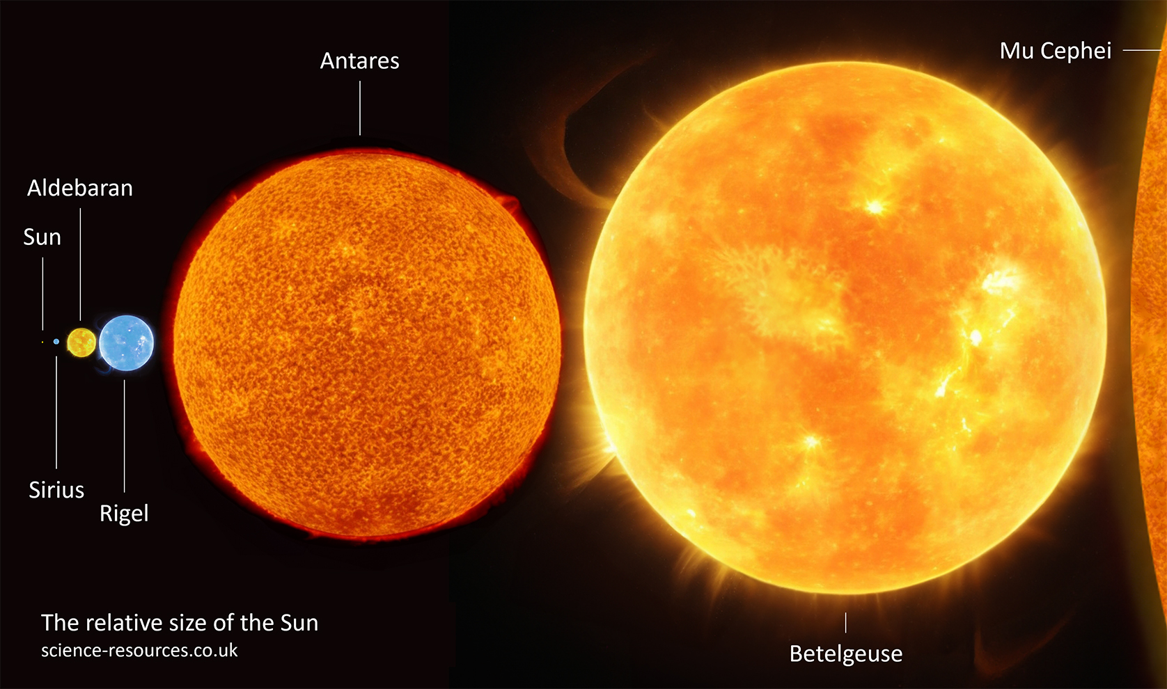 Relative size of our Sun compared to other stars. From left to right (in order of size from smallest to largest): Sun, Sirius, Aldebaran, Rigel, Antares, Betelgeuse, Mu Cephei. In this image, our Sun is just a tiny dot compared to the giant and supergiant stars.