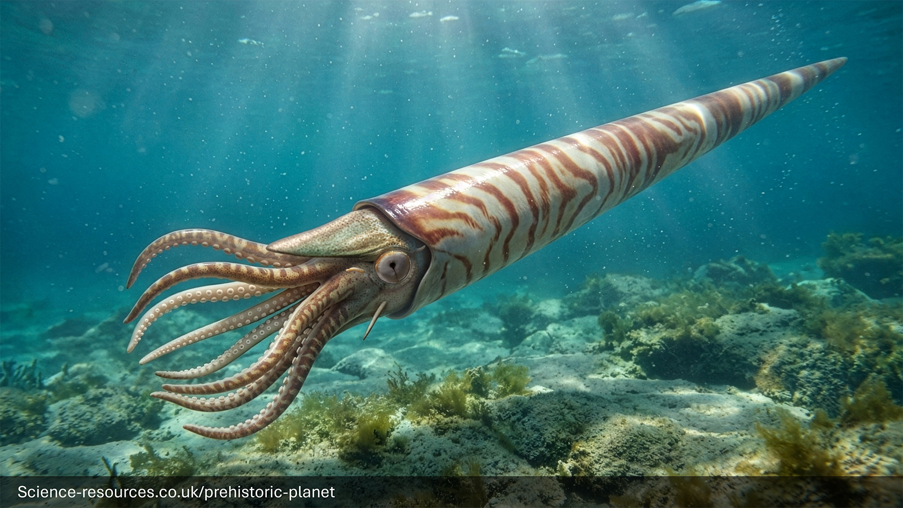 A realistic image of a Endoceras in a prehistroic ocean.