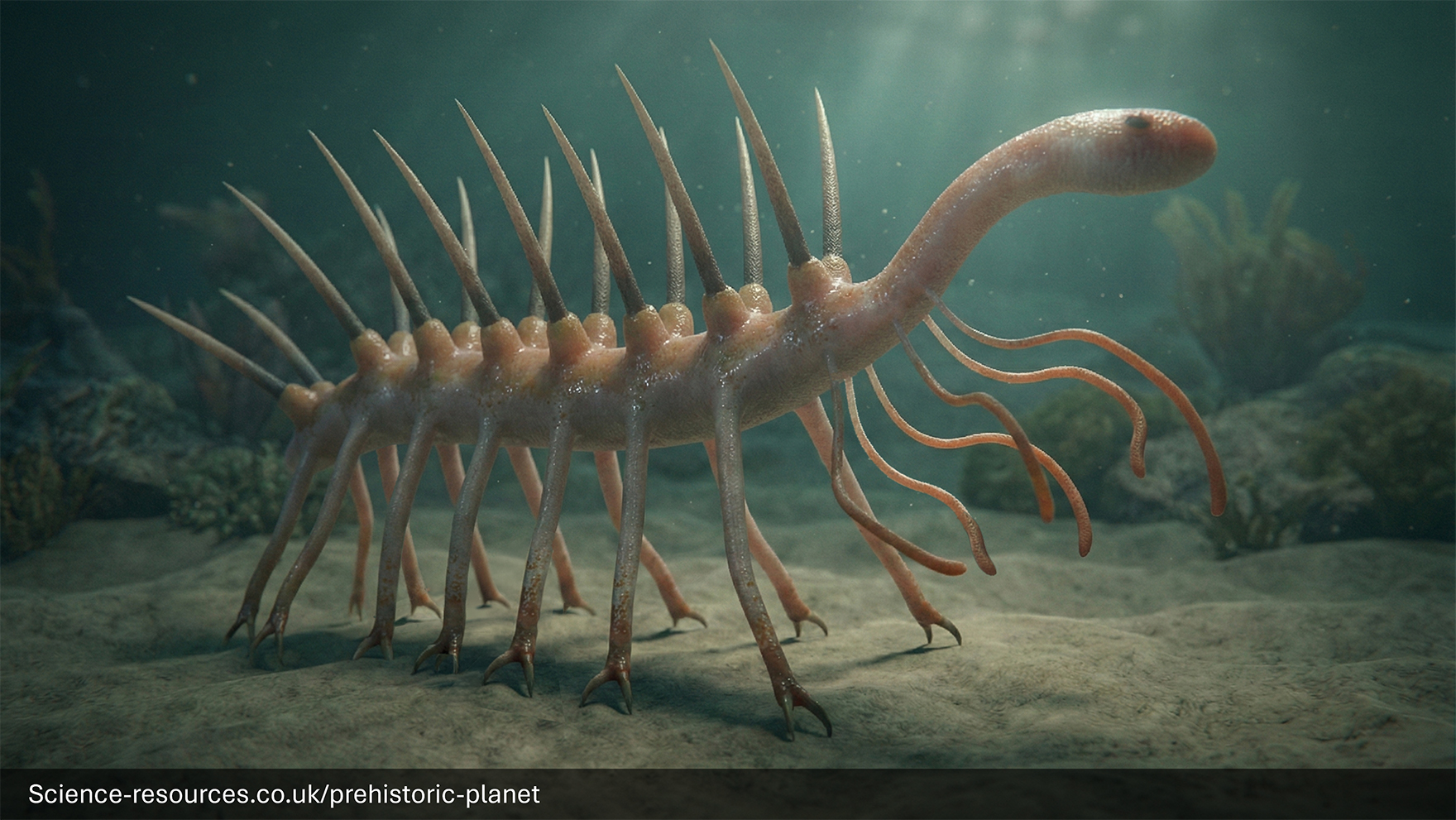 Hallucigenia A realistic image of a Hallucigenia on a Cambrian sea floor.