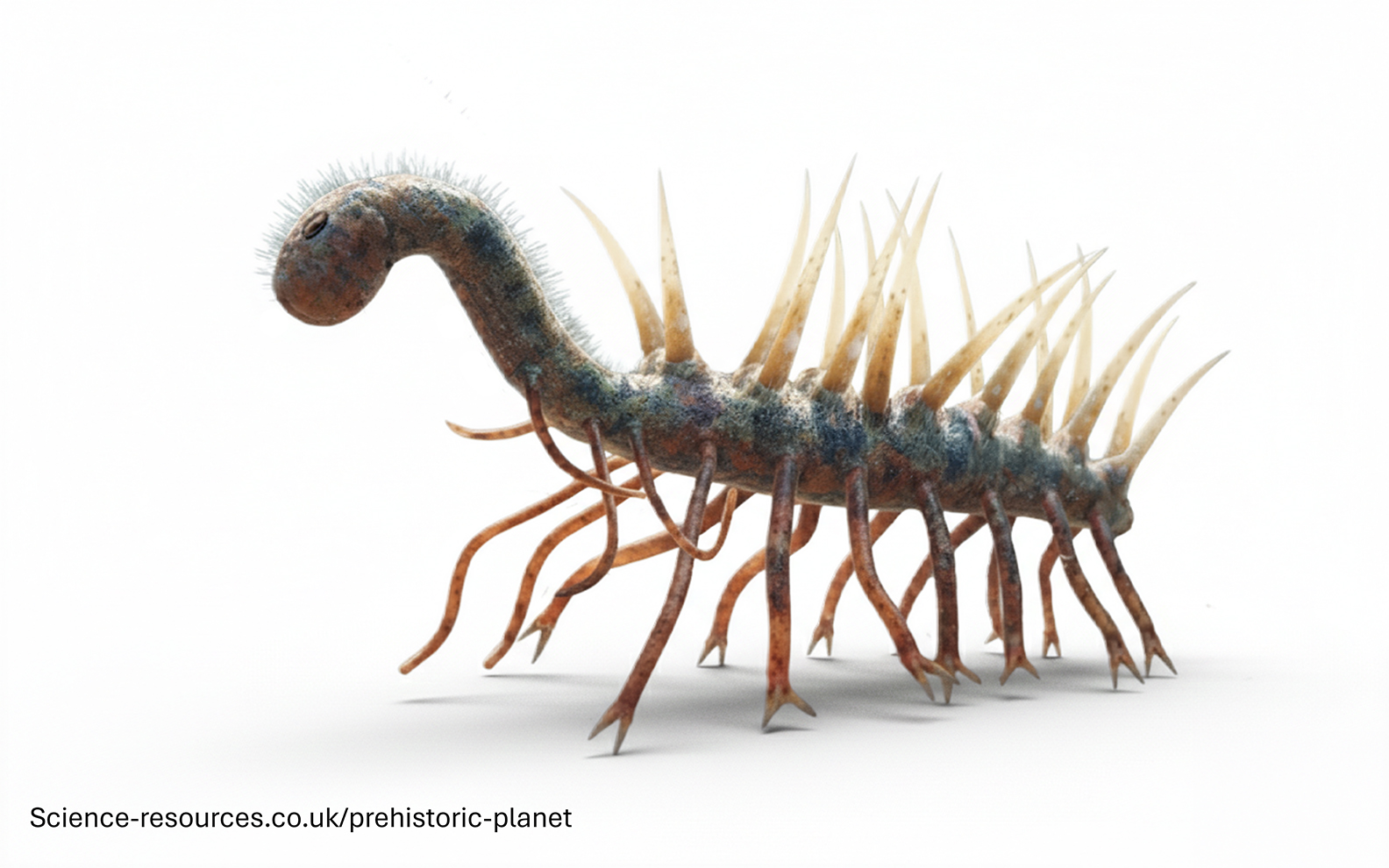 A photo realistic image of an Hallucigenia on a white background