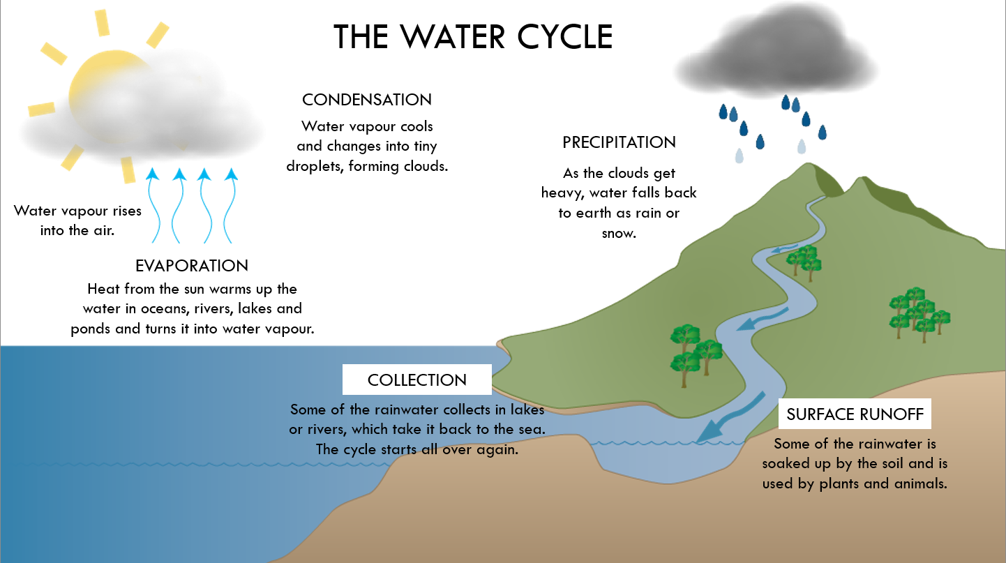 How the water cycle works.