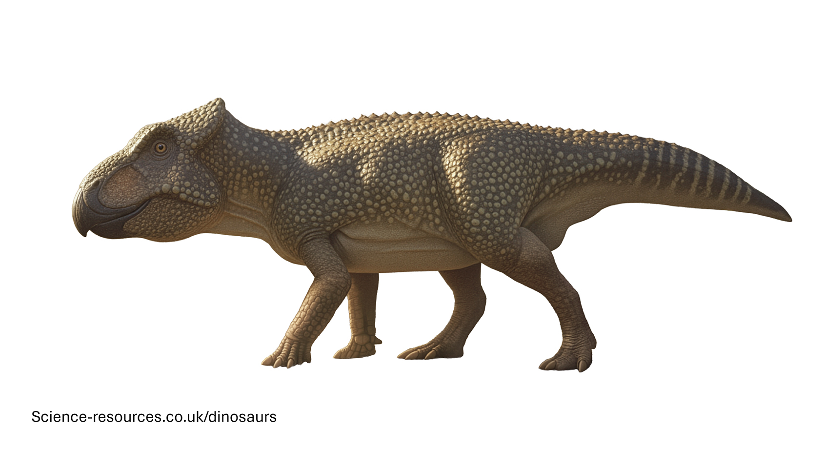 Ferrisaurus transparent a realistic rendering of a Ferrisaurus dinosaur on a white background.