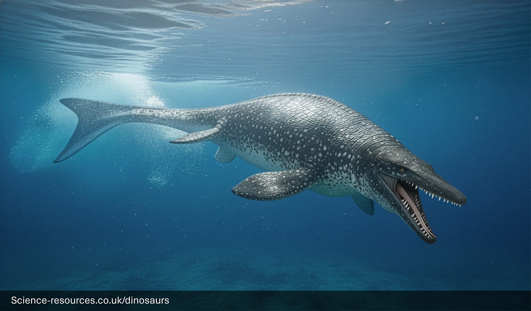 IHow How Big Was Mosasaurus IHow How Big Was Mosasaurus