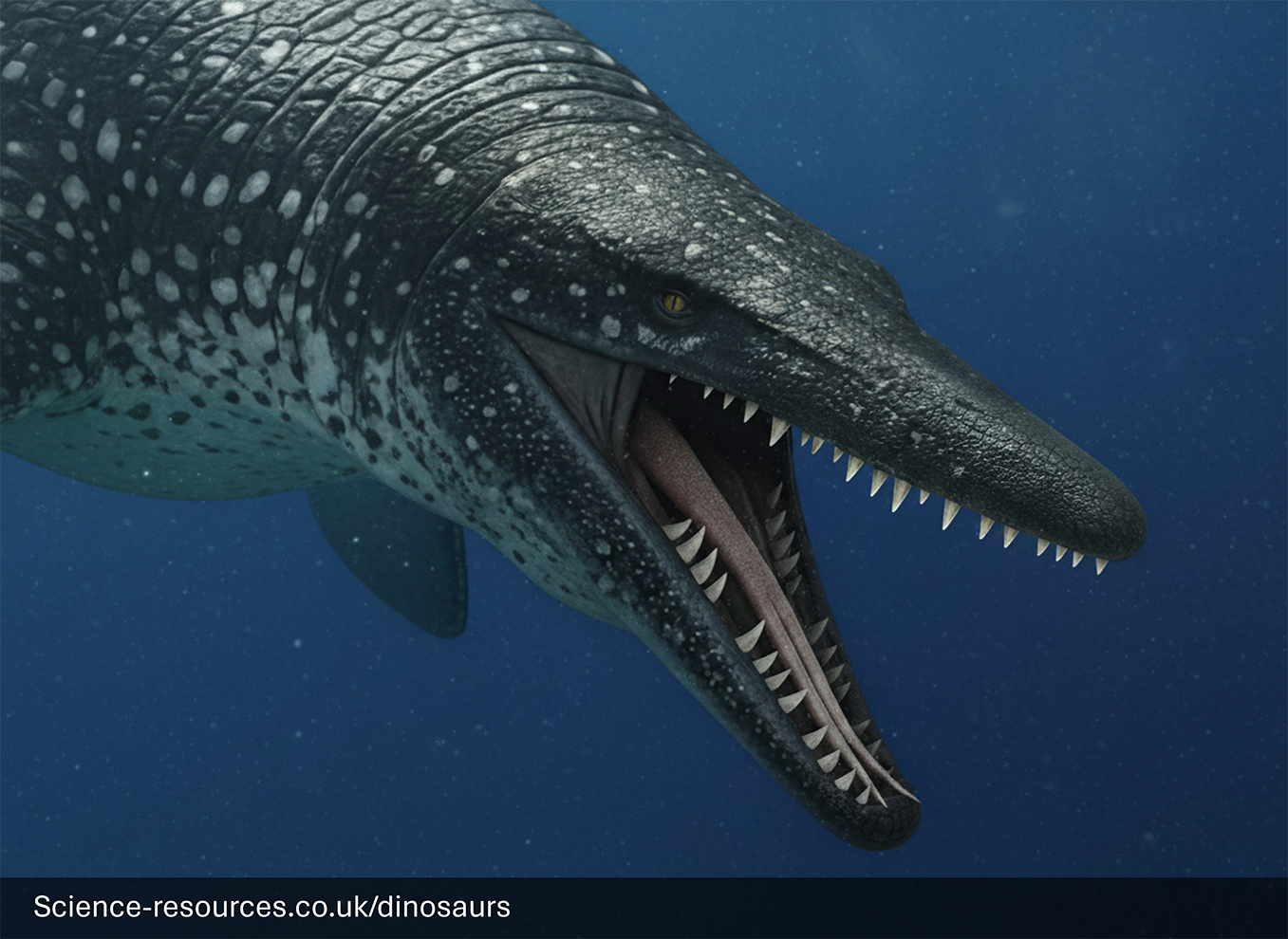 Mosasaurus Forked Tongue Image of a Mosasaurus with a forked tongue.