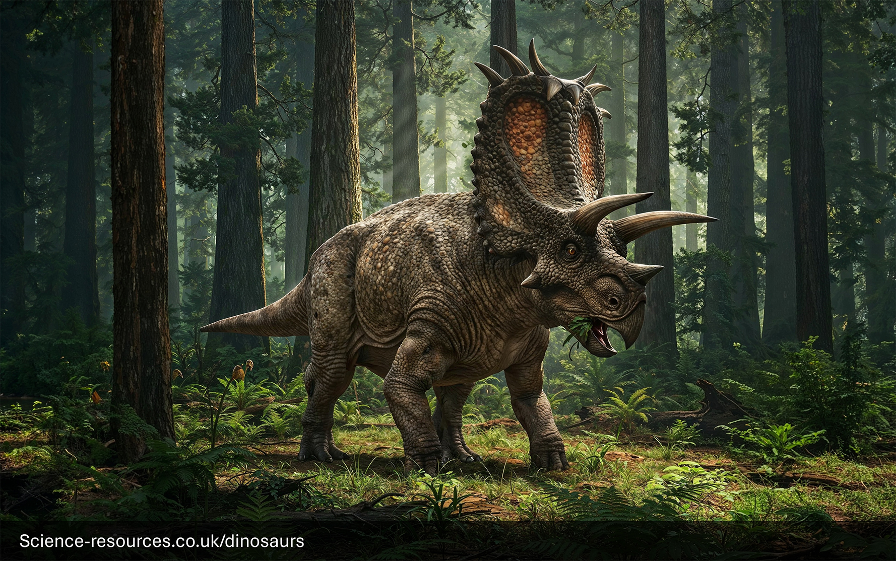 Pentaceratops Vs Styracosaurus Dinosaurs Battle World