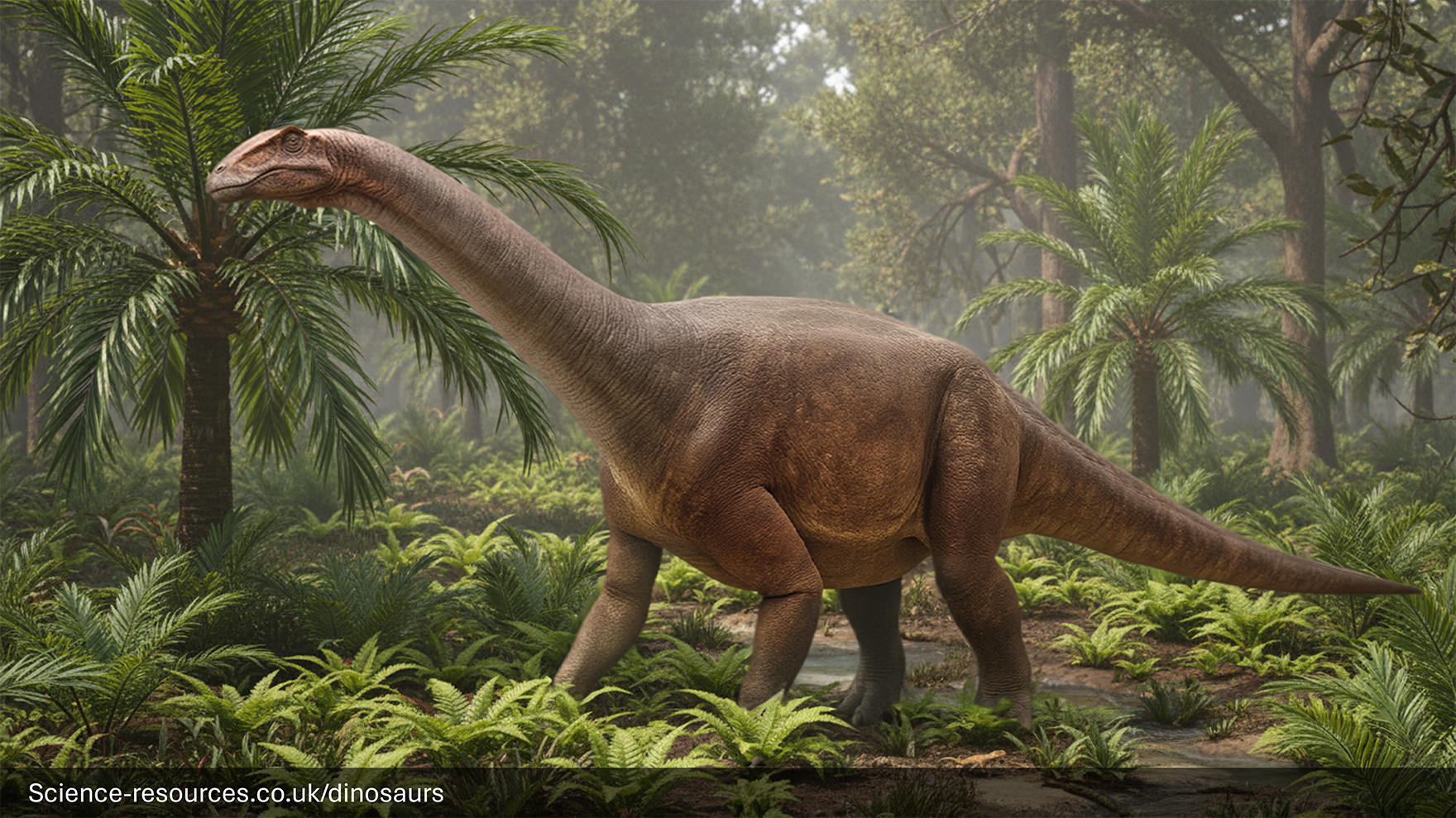 A hyperrealistic image of a Riojasaurus, a primitive sauropod dinosaur, walking through a warm, forested floodplain with low-lying ferns, shrubs, and trees like cycads. 
