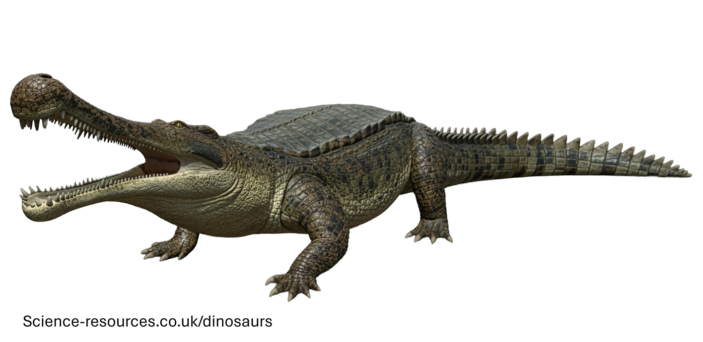 A realistic rendering of an Sarcosuchus.