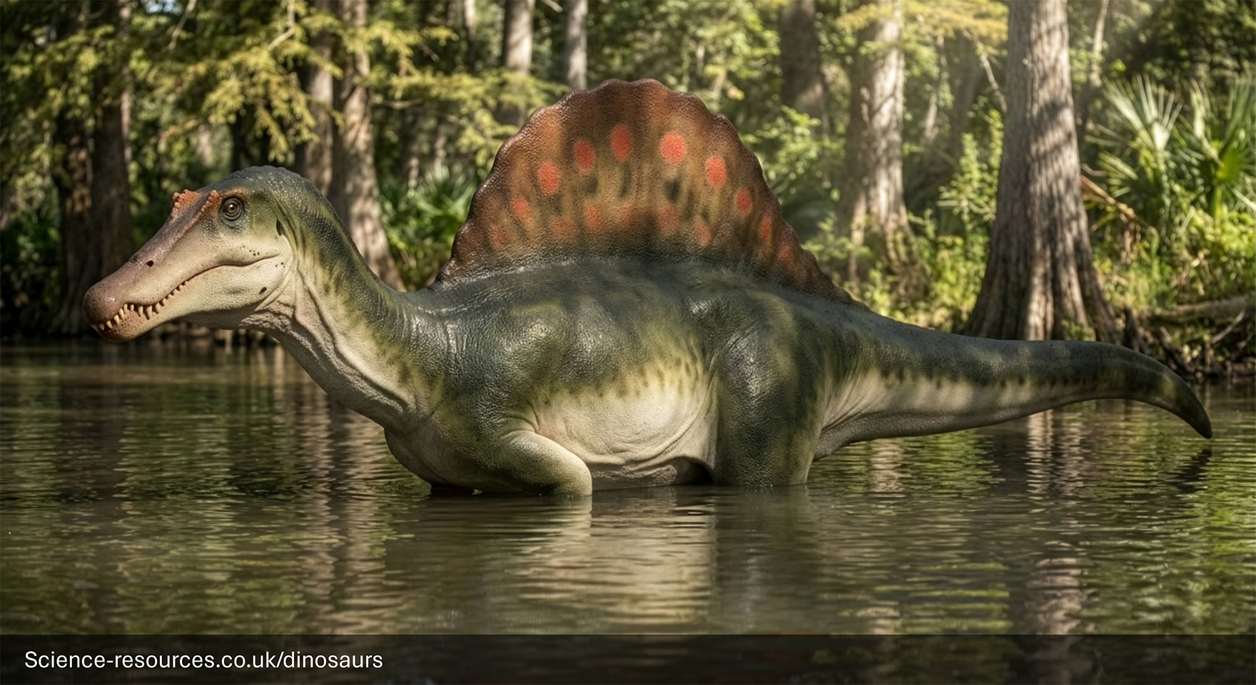 A photo realistic image of a Mid-1900s to Early 2000s Spinosaurus dinosaur. The dinosaur is wading through a prehistoric river,