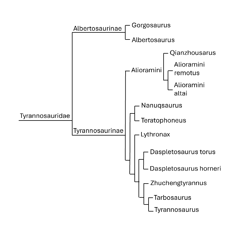Image showing a Tyrannosaurus family tree