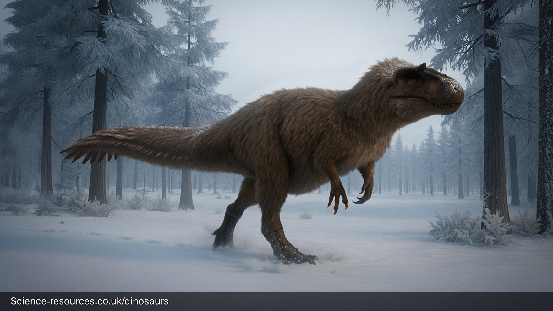 A realistic rendering of an Yutyrannus dinosaur in a prehistoric snowy tundra surrounded by trees.