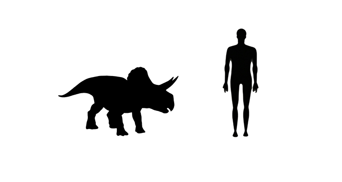 Zuniceratops
size mage showing a size comparison between an adult Zuniceratops
dinosaur (right) versus a human adult (left).