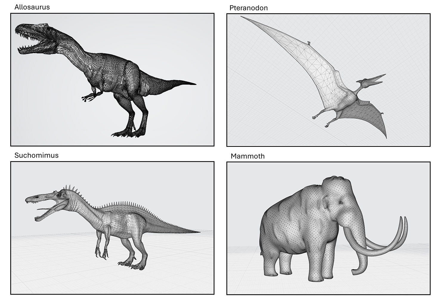 3D dinosaur models: From left to right 
Top: 1. Allosaurus, 2. Pteranodon
Bottom: 1. Suchomimus, 2. Mammoth