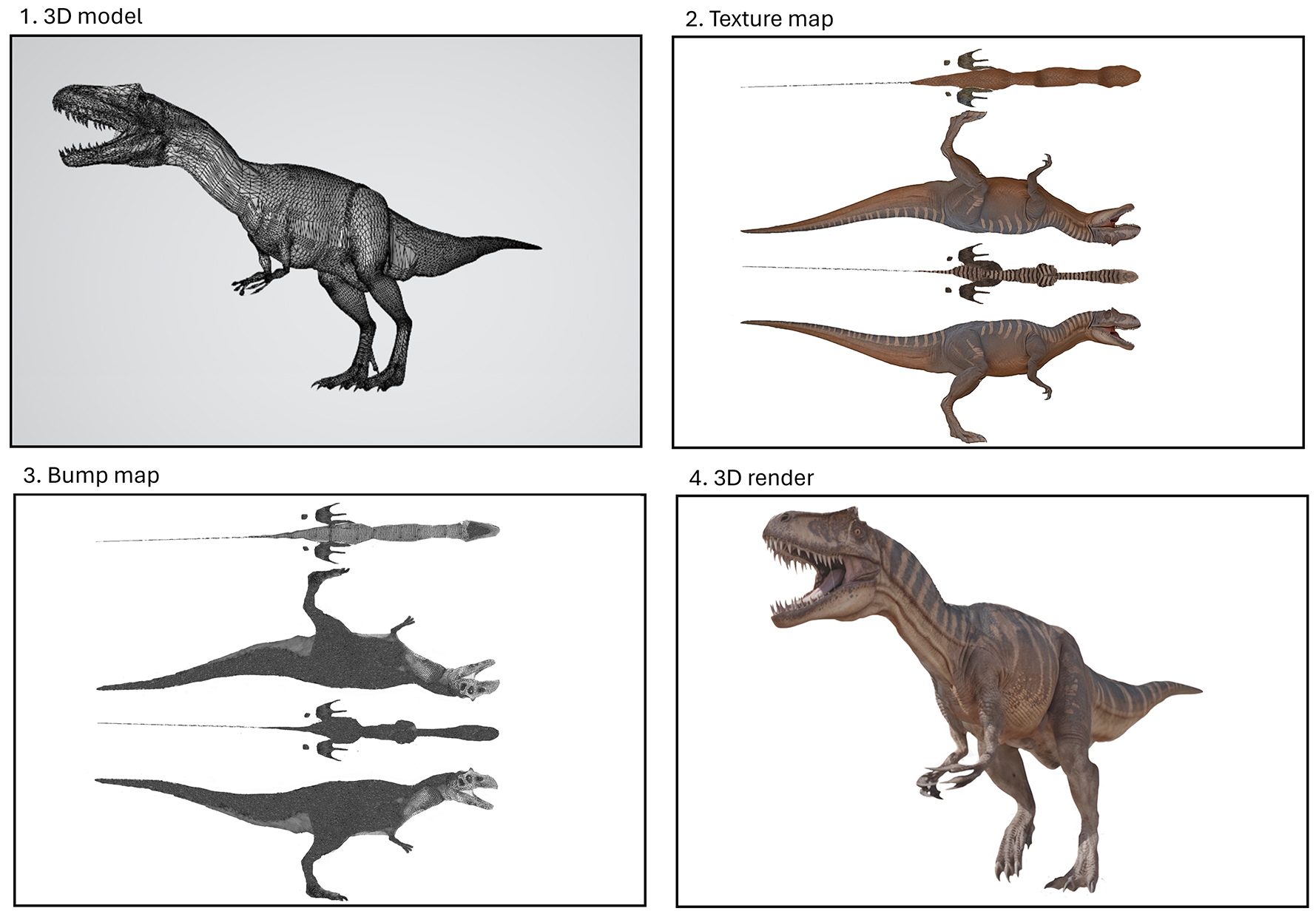 Image showing the process of creating our dinosaurs. Step 1. Create a 3D model. Step 2. Add colour using a texture map. 3. Add detail, such as scales and skin, using a bump map. 4. Generate our first render.