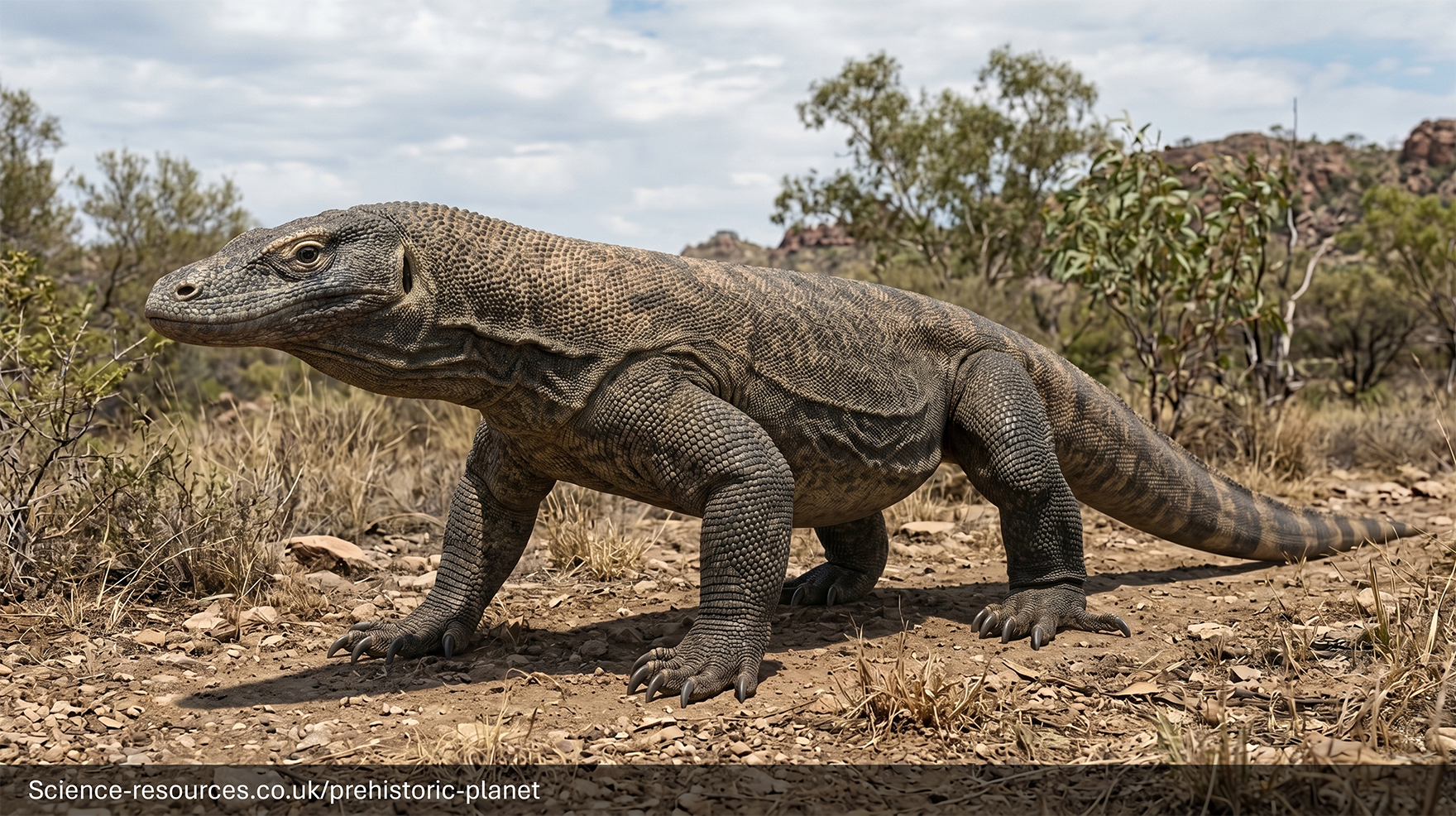 Megalania, a giant prehistoric monitor lizard with a long muscular body and scaly skin, walks across a dry rocky landscape with sparse shrubs and small trees under a lightly clouded sky.