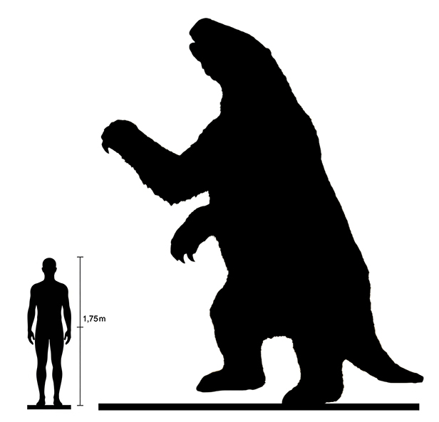 Megatherium size compared to an adult human.