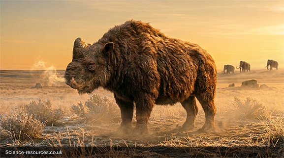 Elasmotherium