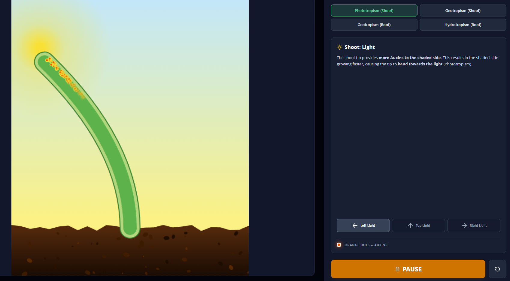 Plant hormone simulator