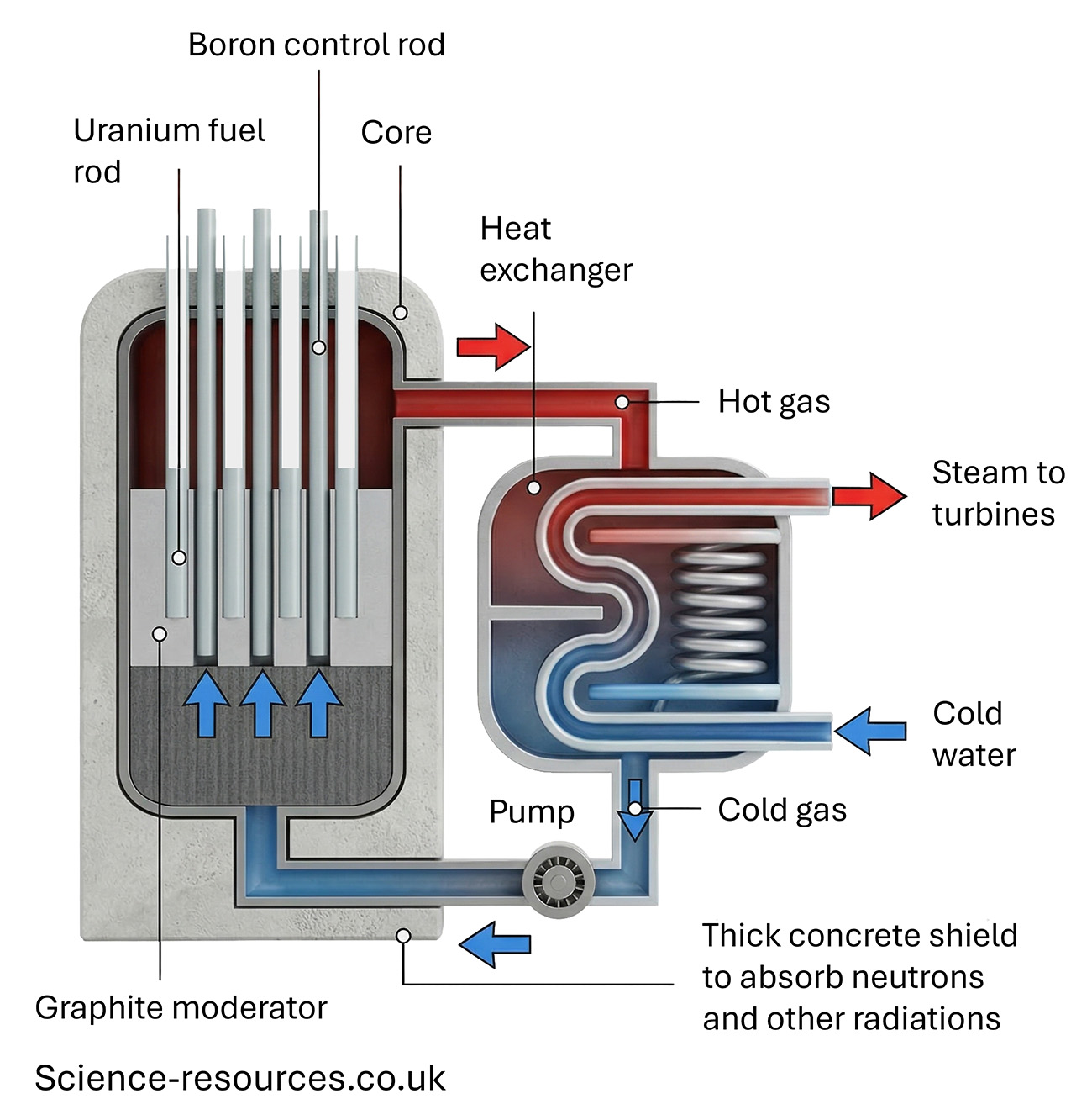 A 3D technical illustration on a plain white background showing the internal components and thermal process of a nuclear fission reactor.

The Reactor Core (Left Side)
The reactor is housed in a thick, light-grey concrete shield designed to absorb radiation. Inside the core, the bottom section is labeled Graphite moderator. Above the moderator, the core is divided into four block-like Uranium fuel assemblies. A single, dark Boron control rod is positioned vertically in the center of these assemblies to regulate the fission process. Blue arrows labeled Gas flow point upward through the fuel rods, indicating the path of the primary coolant.

The Primary Cooling Loop
As the gas passes through the fuel rods, it absorbs heat and becomes Hot gas (indicated by red arrows). This gas travels through a horizontal pipe into a separate, secondary structure: the Heat exchanger. After transferring its heat, the gas becomes Cold gas (indicated by blue arrows) and is pushed by a mechanical Pump through a return pipe back into the bottom of the reactor core to repeat the cycle.

The Secondary Steam Loop (Right Side)
Inside the Heat exchanger, the hot gas pipe forms a series of coils. A separate water system interacts with these coils:

Cold water (blue arrow) enters the bottom of the heat exchanger.

The water absorbs heat from the gas coils, turning into high-pressure steam.

The Steam to turbines (red and light-blue arrow) exits the top-right of the unit, pointing toward the power generation section of a plant.